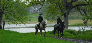 Male and female on horses taking a ride through the forest