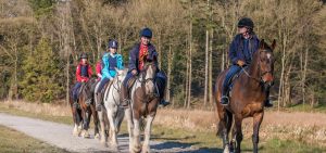 5 females on horses riding through the forest