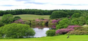 Lake with trees and fields around