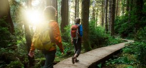 2 guys taking a walk in the woods